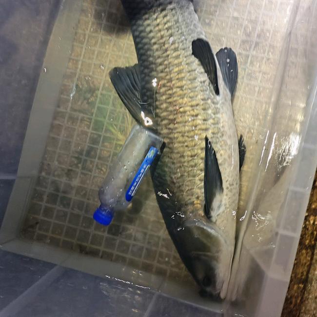 雾野遥🎣