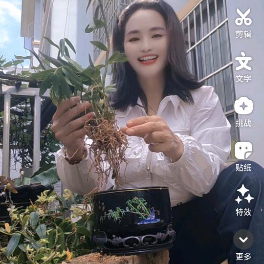 慧赢姜山👱🏻‍♀️