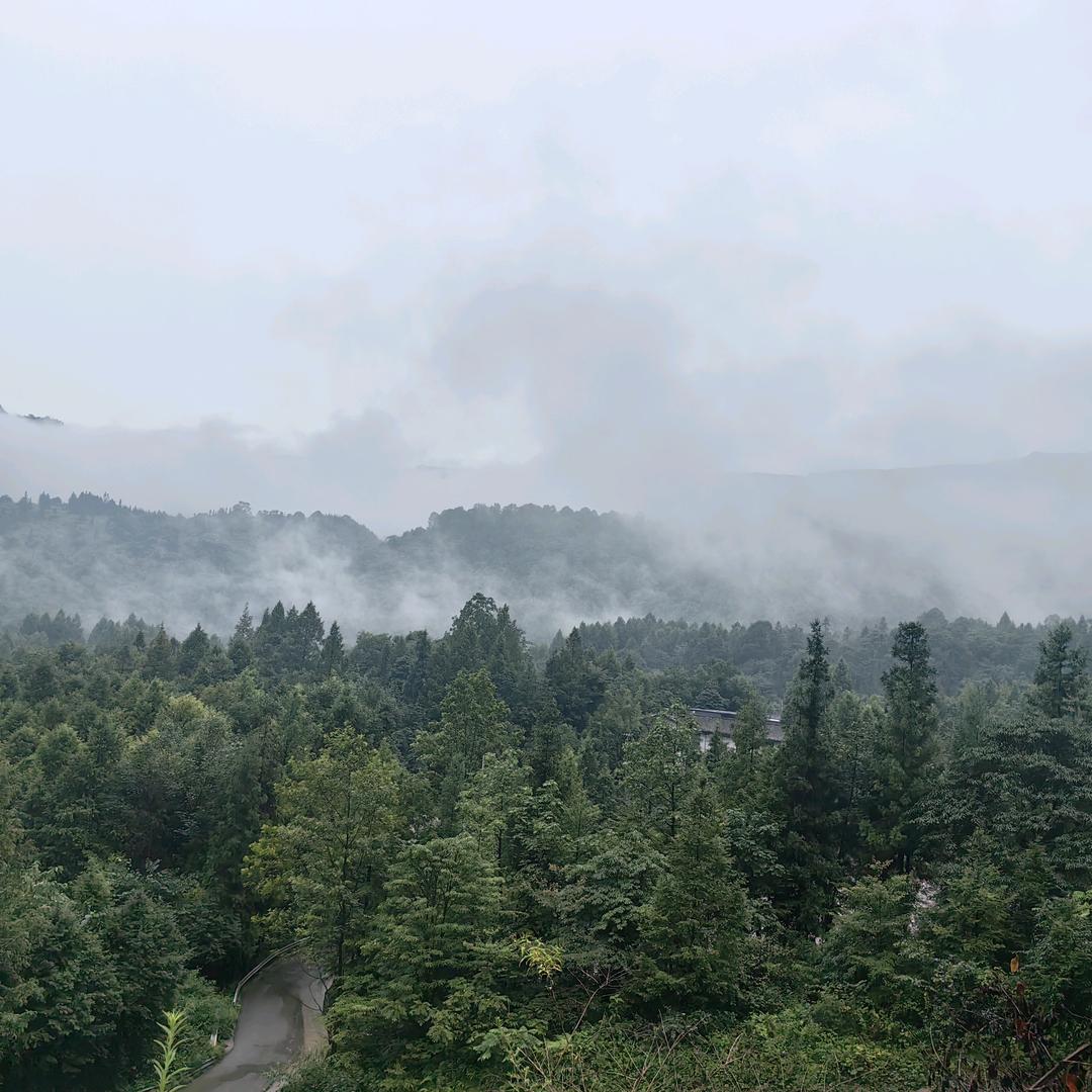 抛竿总挂草
