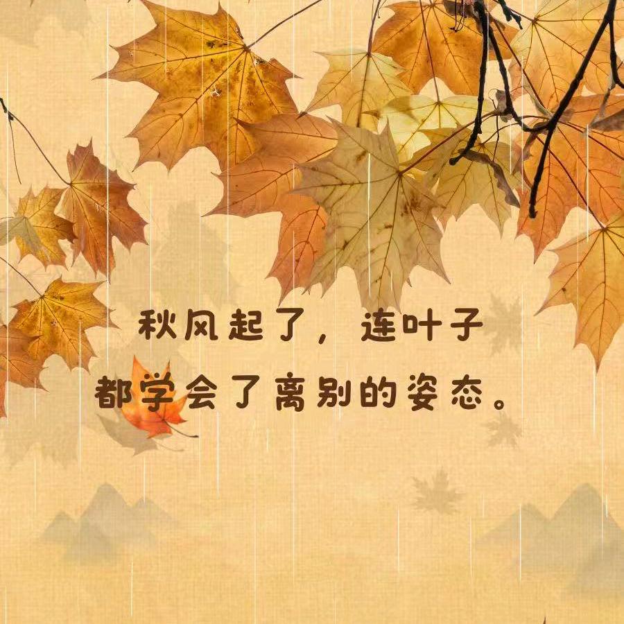 风雨踏梦行