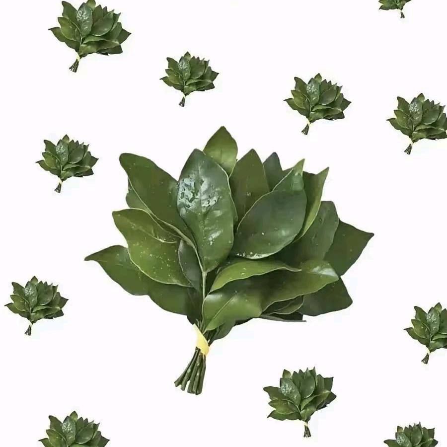 好运🍀