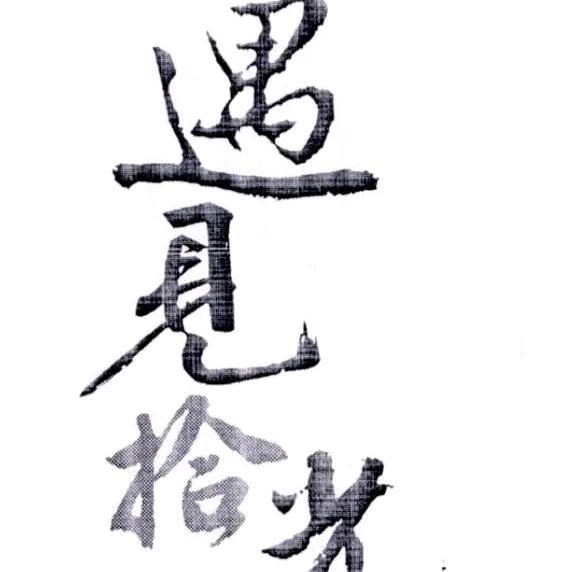 追光而遇