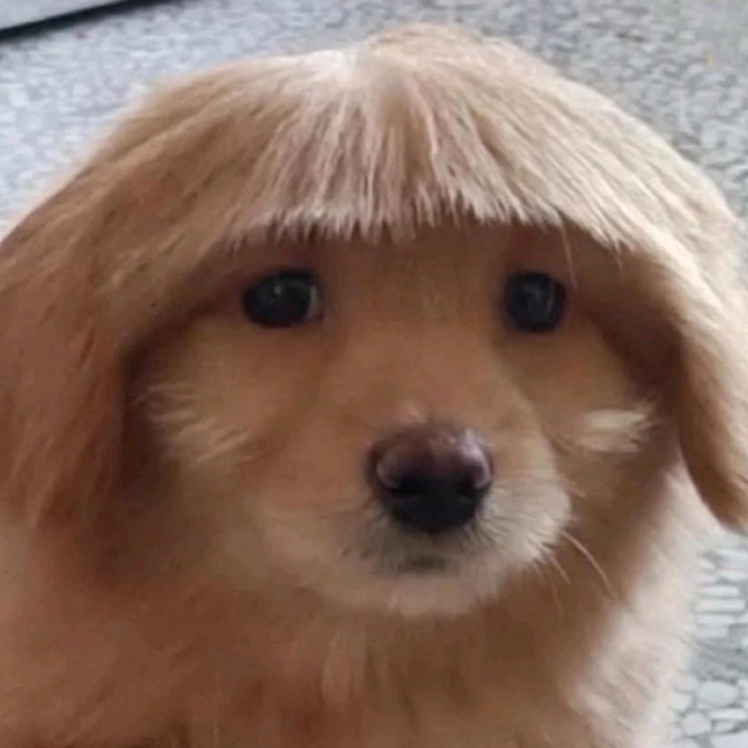 建议包子配锅包肉吃