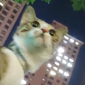 下🌧️不打☔