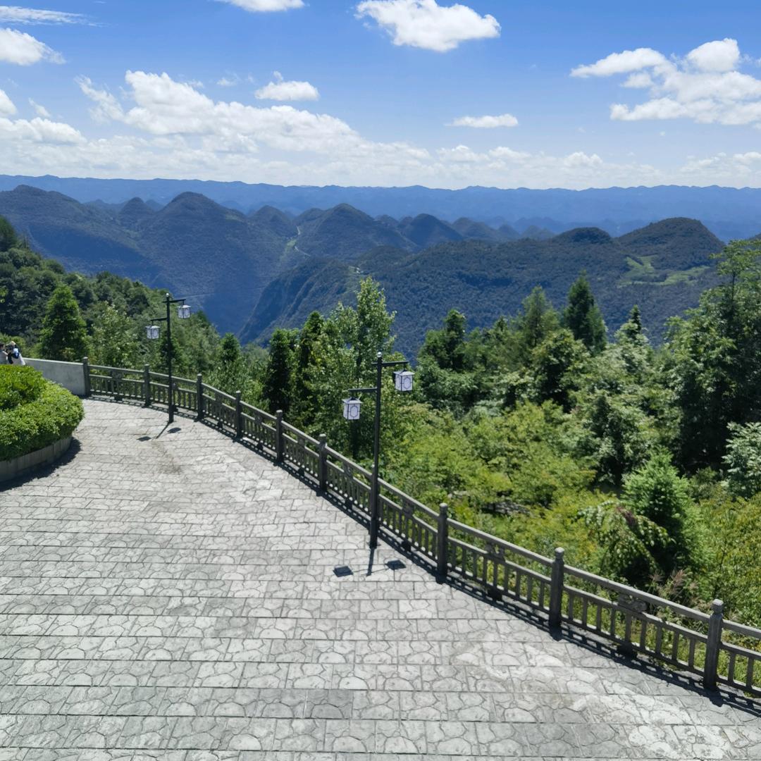 亮哥