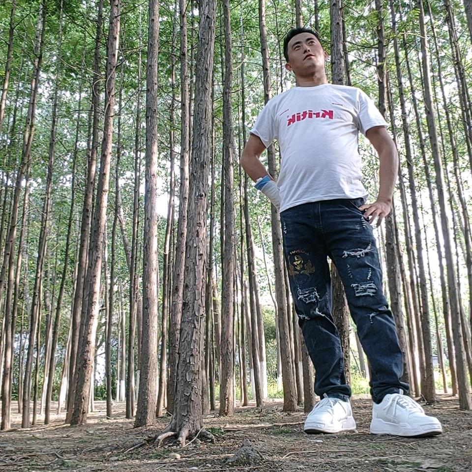 出售各种绿化苗木