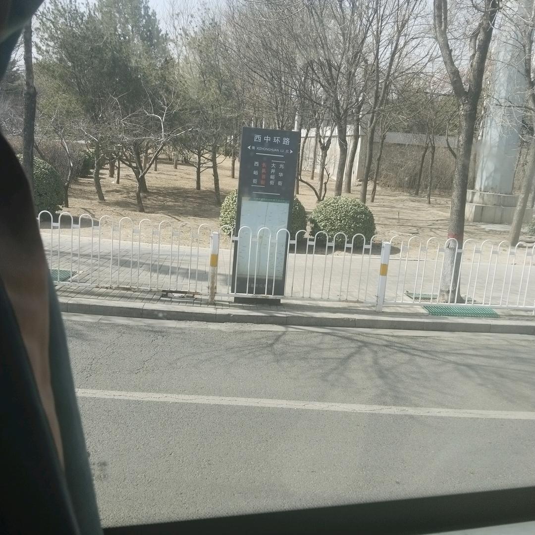 一生所爱