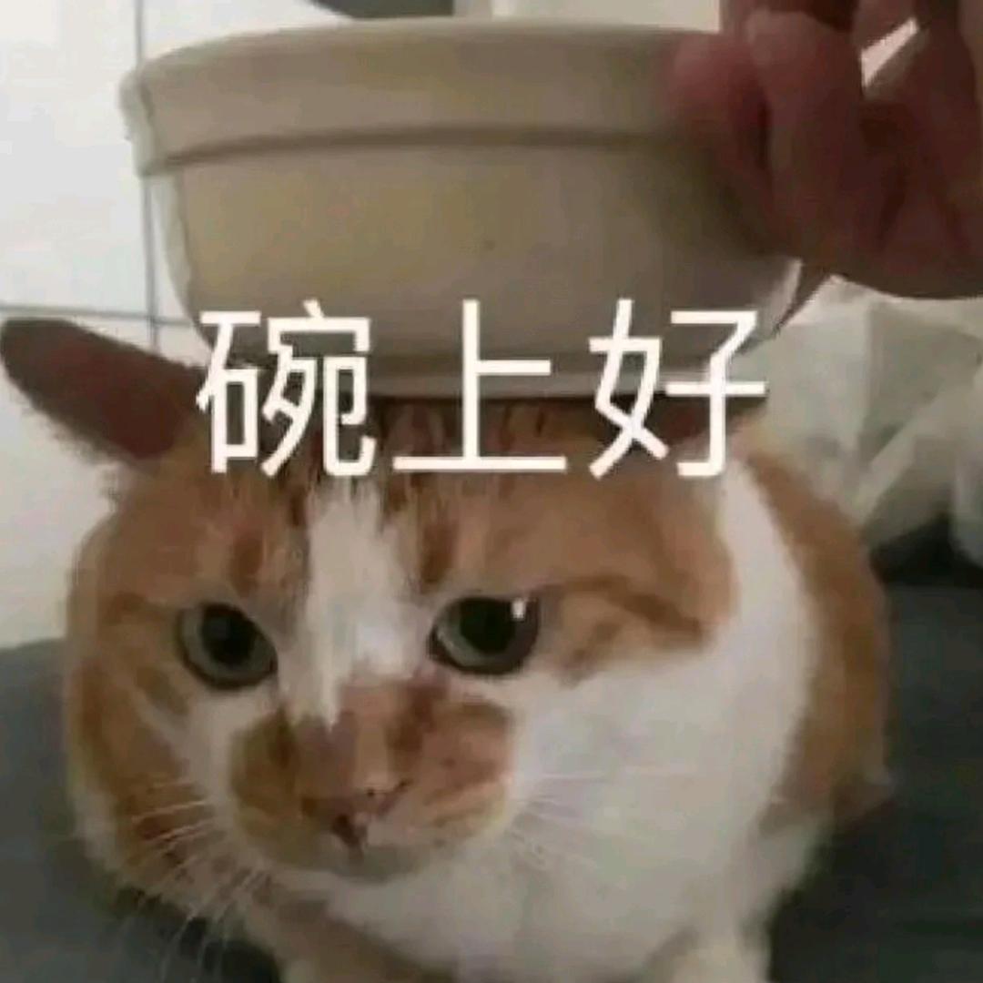 早点干饭