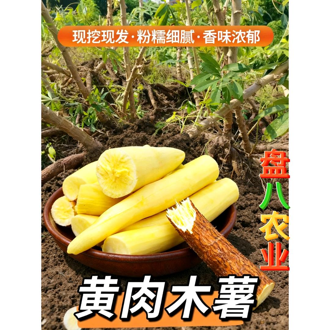 盘宝毅的农副产品创意屋