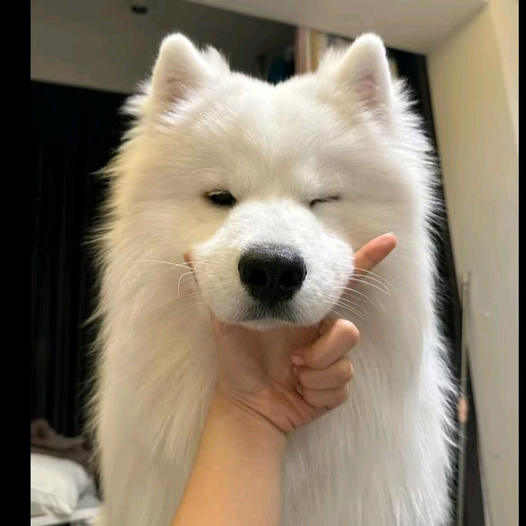 很困