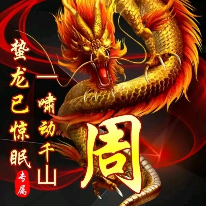 老非洲