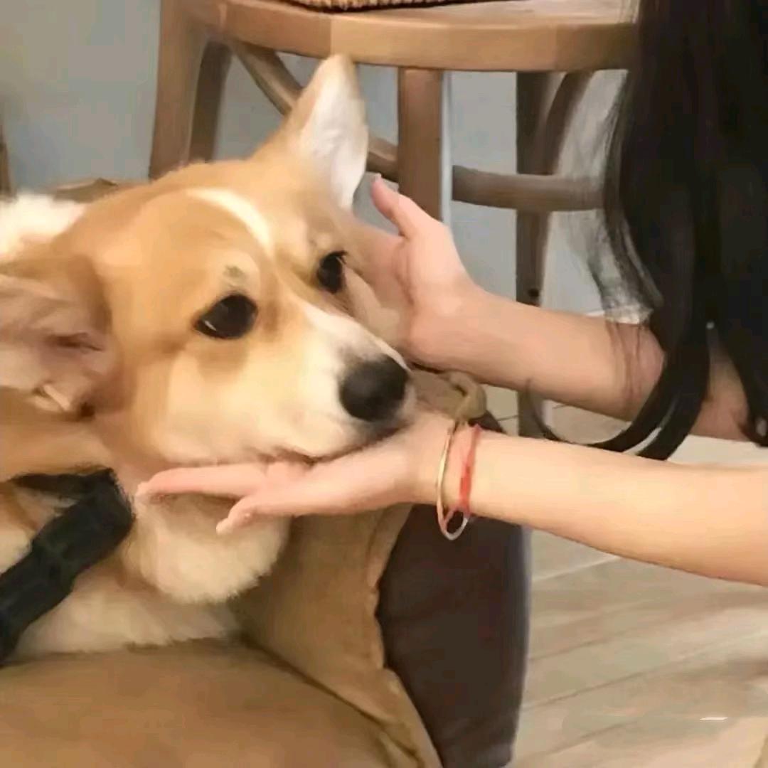 不是暖男
