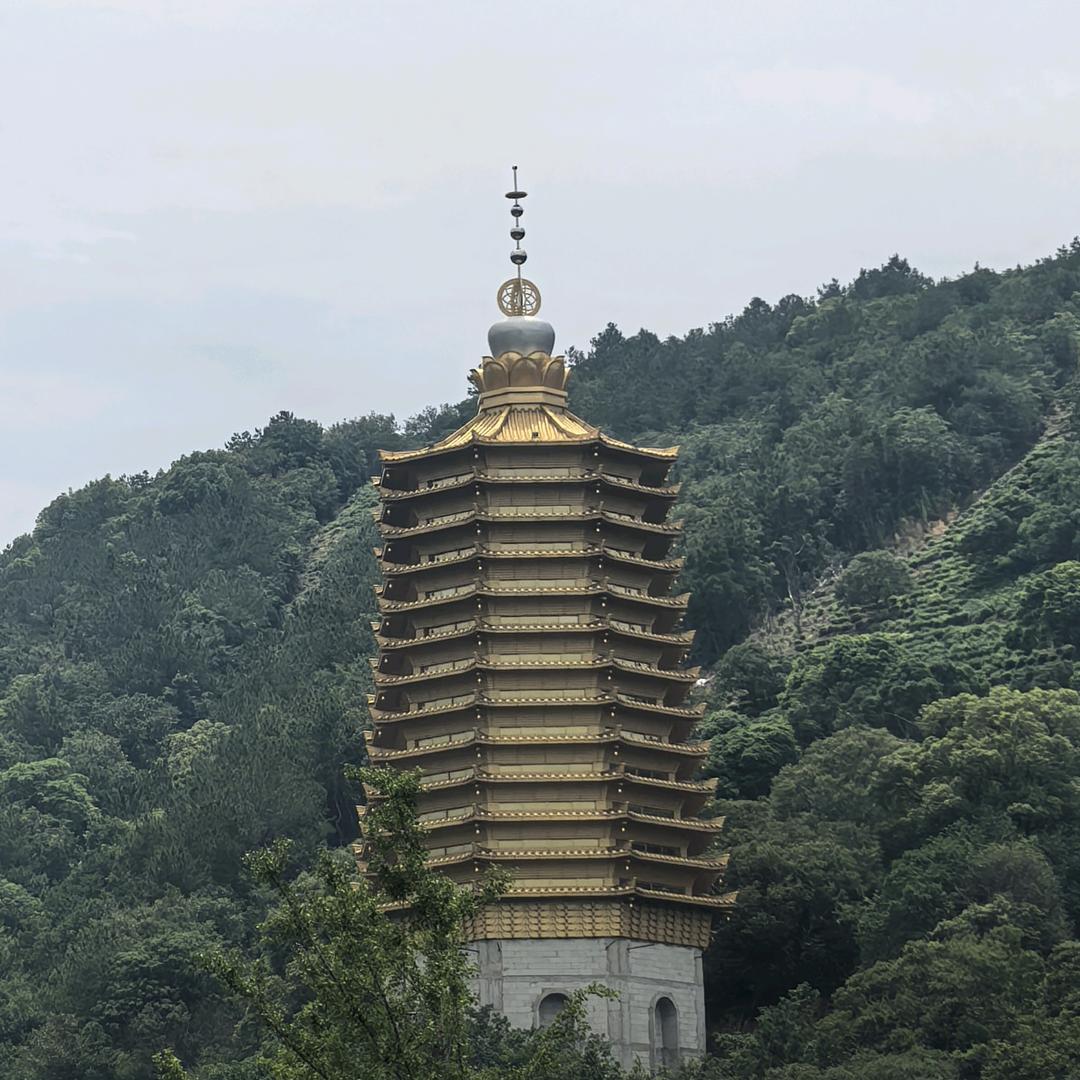张賽賽