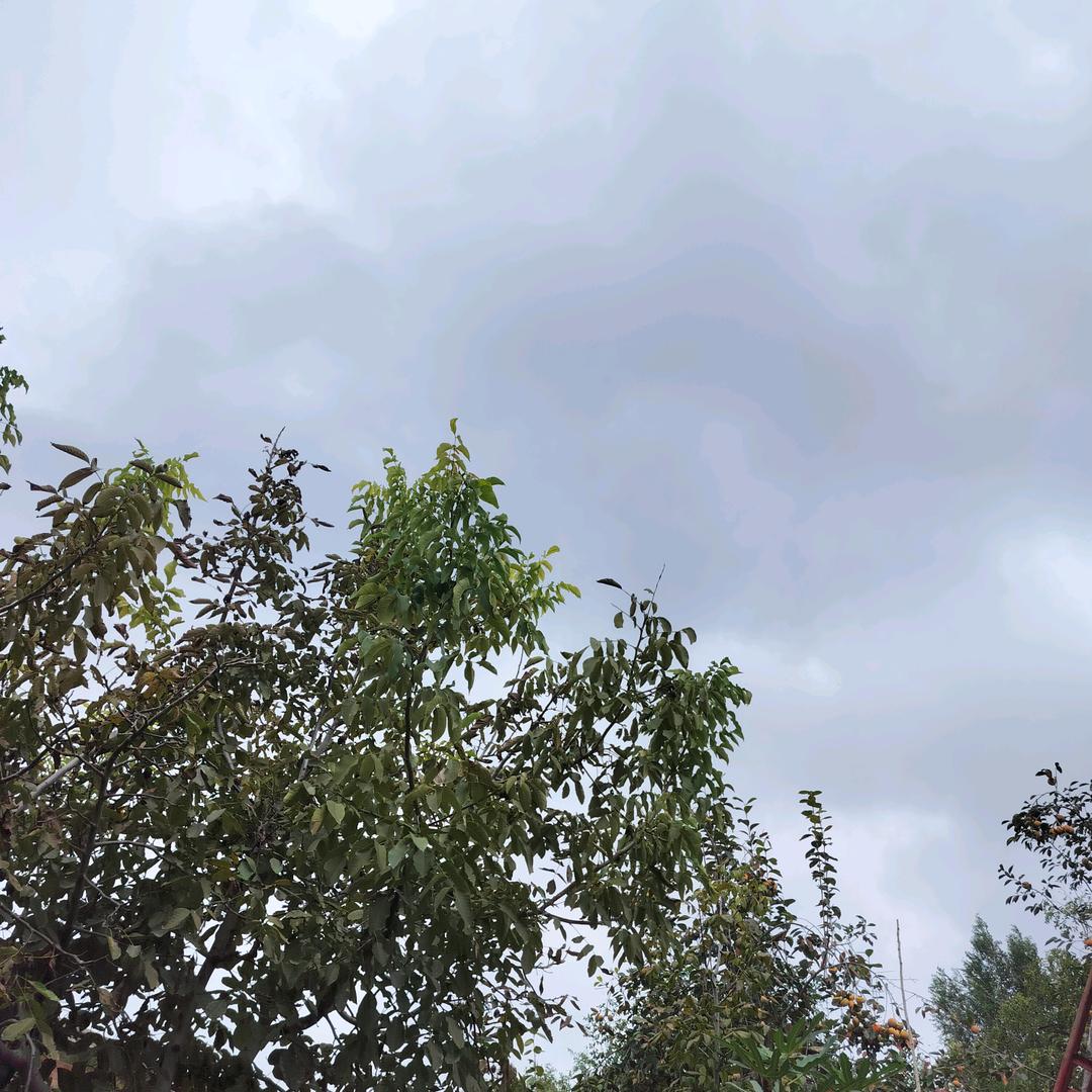 梦梦 回关