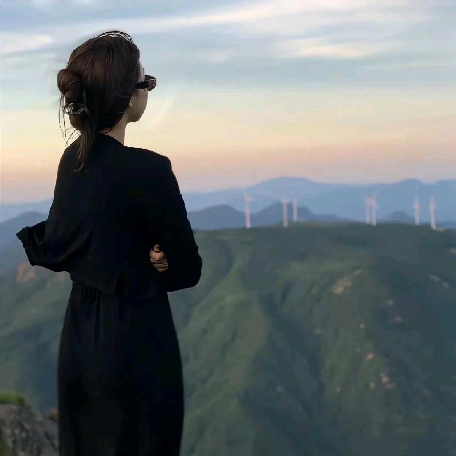 卖华为的小王女士、