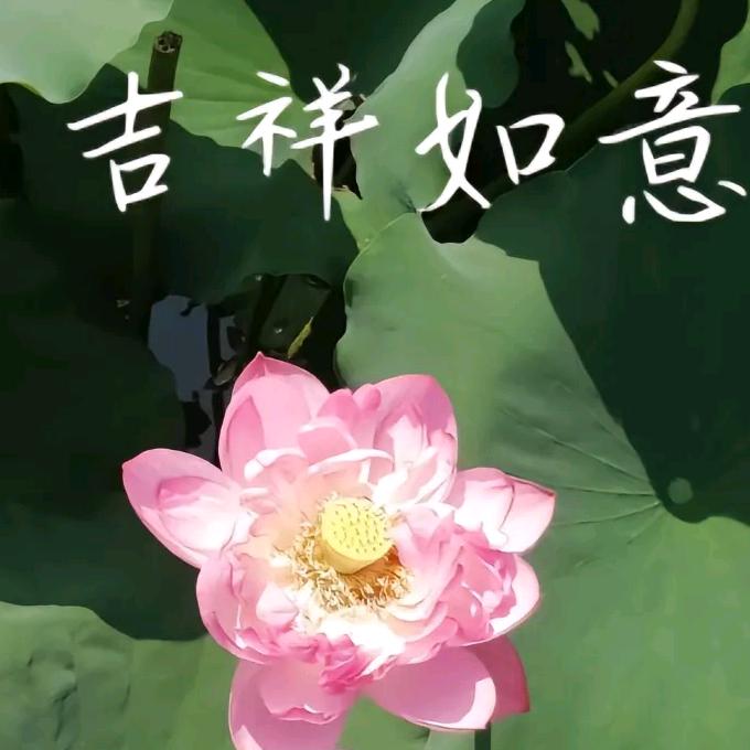 鸿福超市(永和路店)SAUINaz直播号