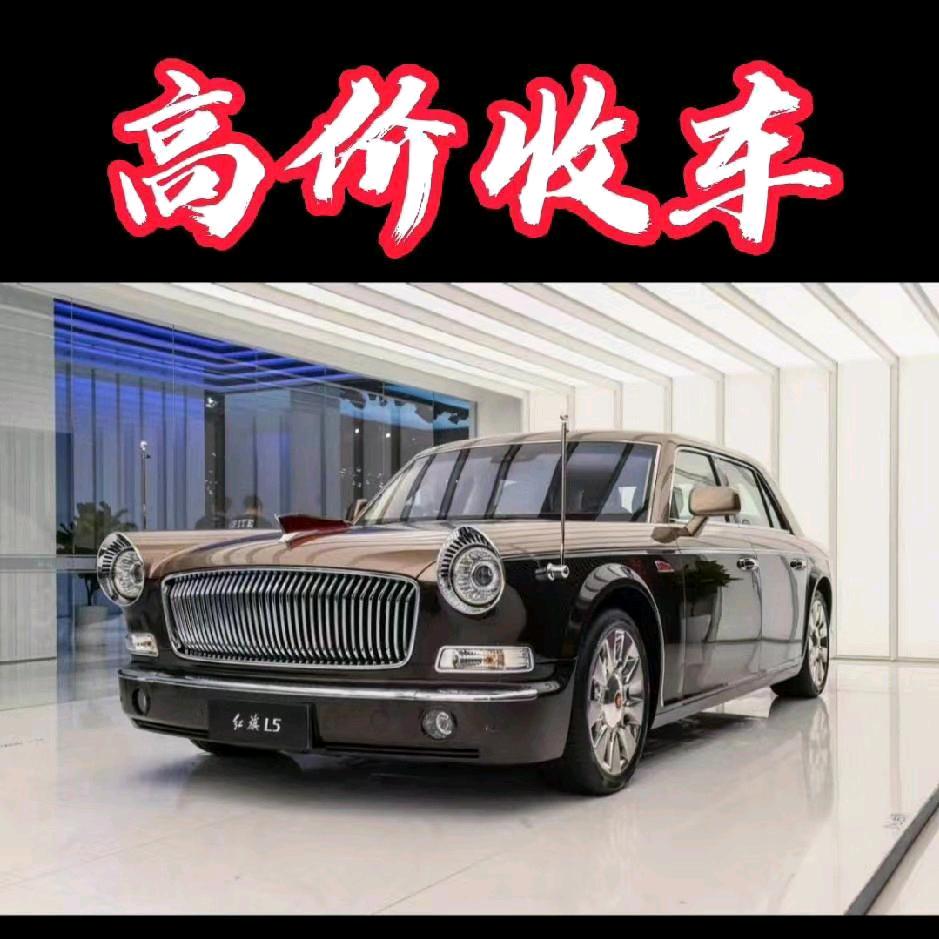 宝丰吉祥精品二手车（新能源）