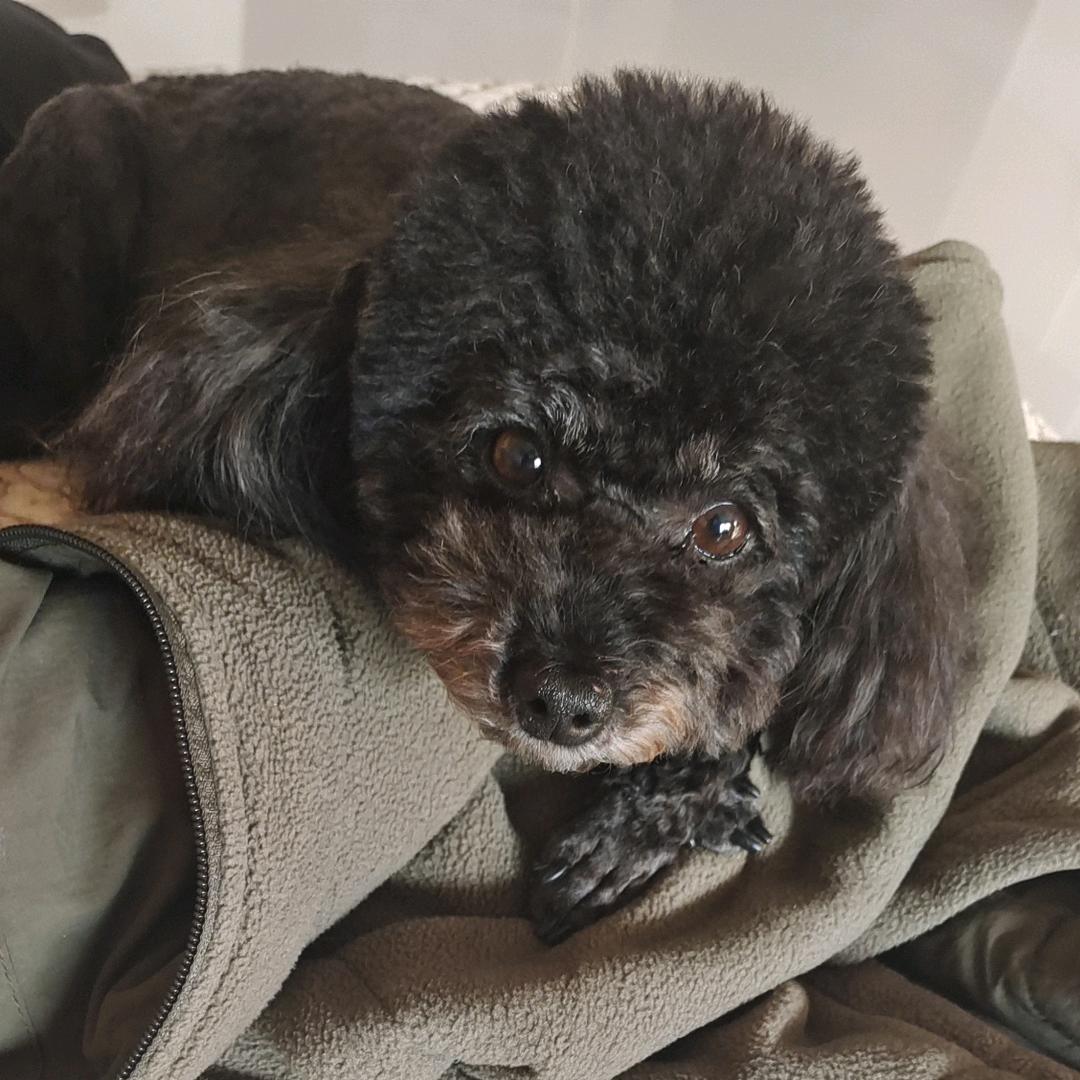 张耀月生活臻选阁