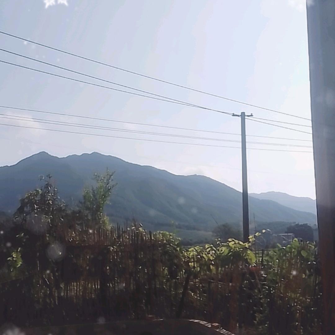 阿玲玲