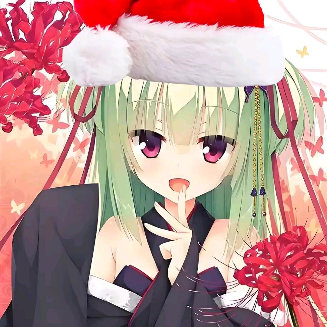 AAA丛雨丸批发商✨丛雨丛