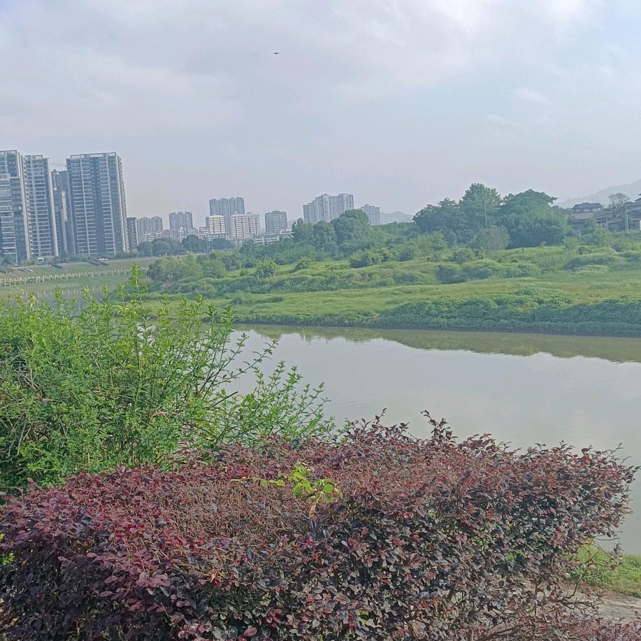 淡定前行