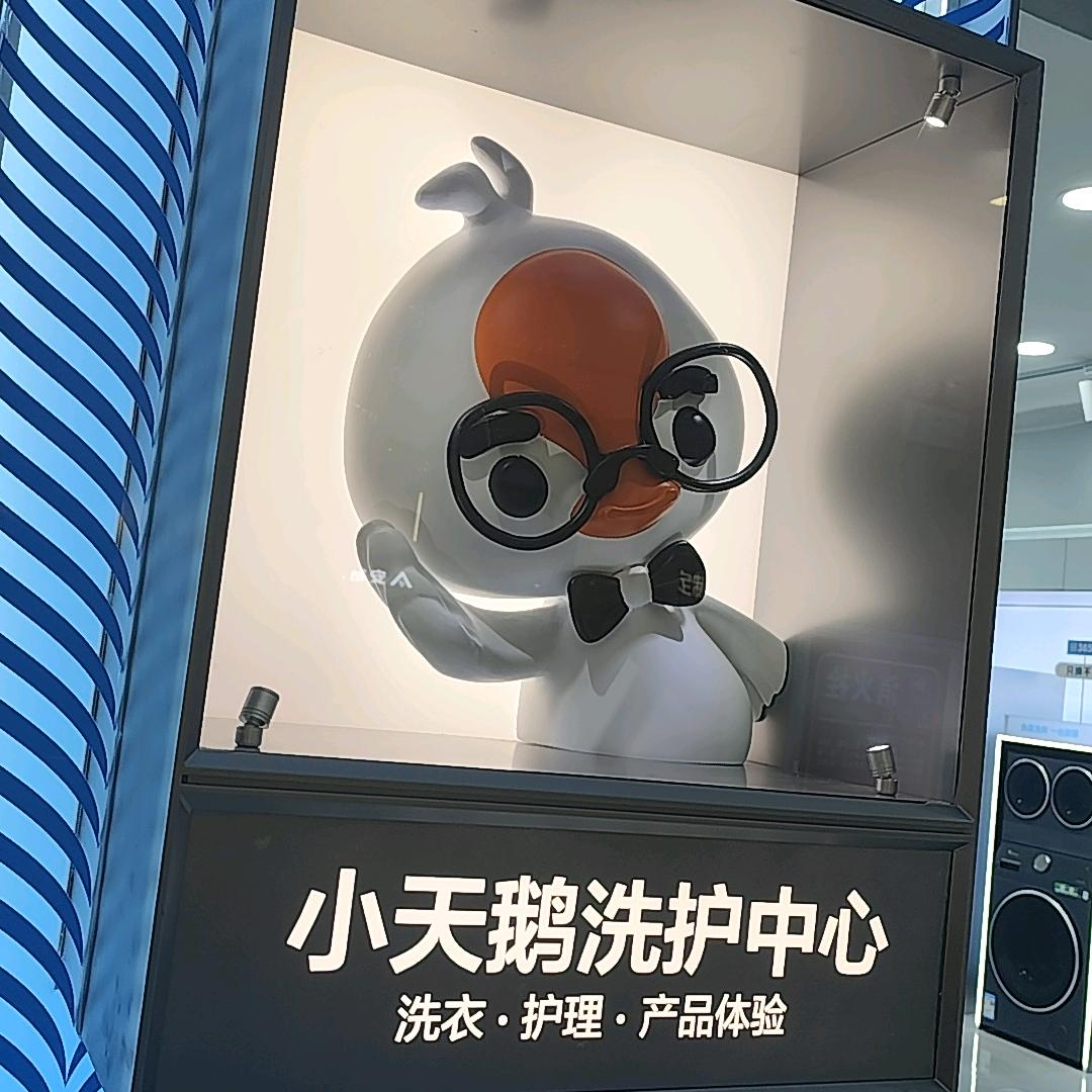 郑州小天鹅推荐官