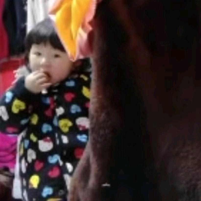 信阳市内蒙古羊驼绒服饰店