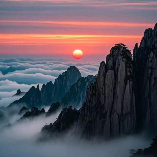 心知所向素履以往