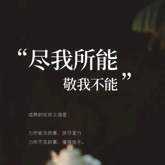💞笑敬ꦿ🌿过往🍻