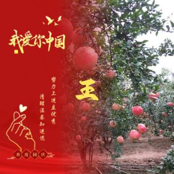 沐雨石榴 盆景园艺