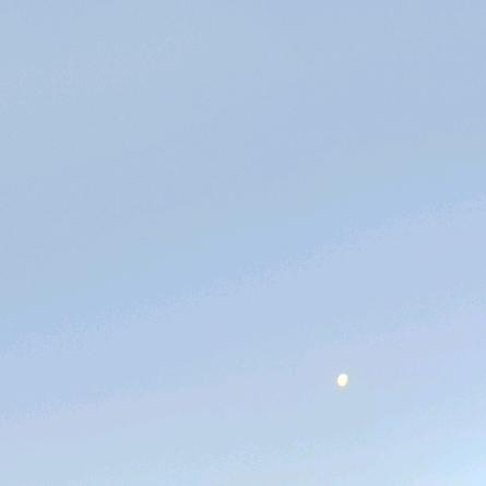 食膳堂优选新人播