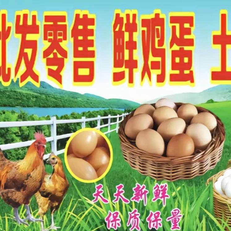 AAA土鸡蛋批发佳姐