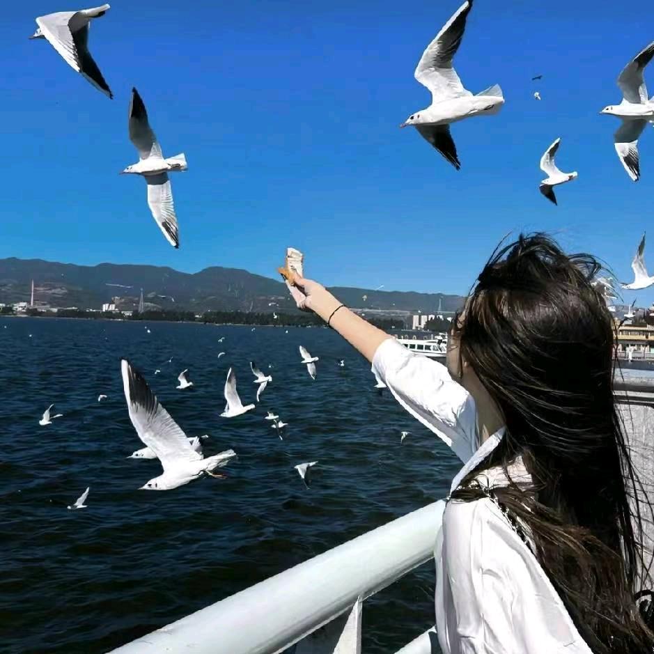 蛋包饭(减脂版)