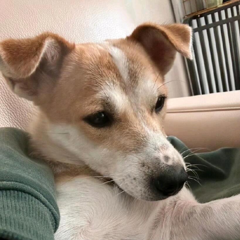 不喜欢下雨天(减肥版)