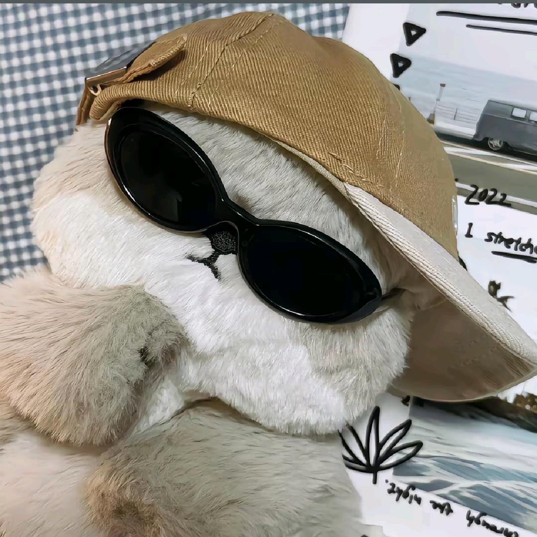 网上邻居⇔