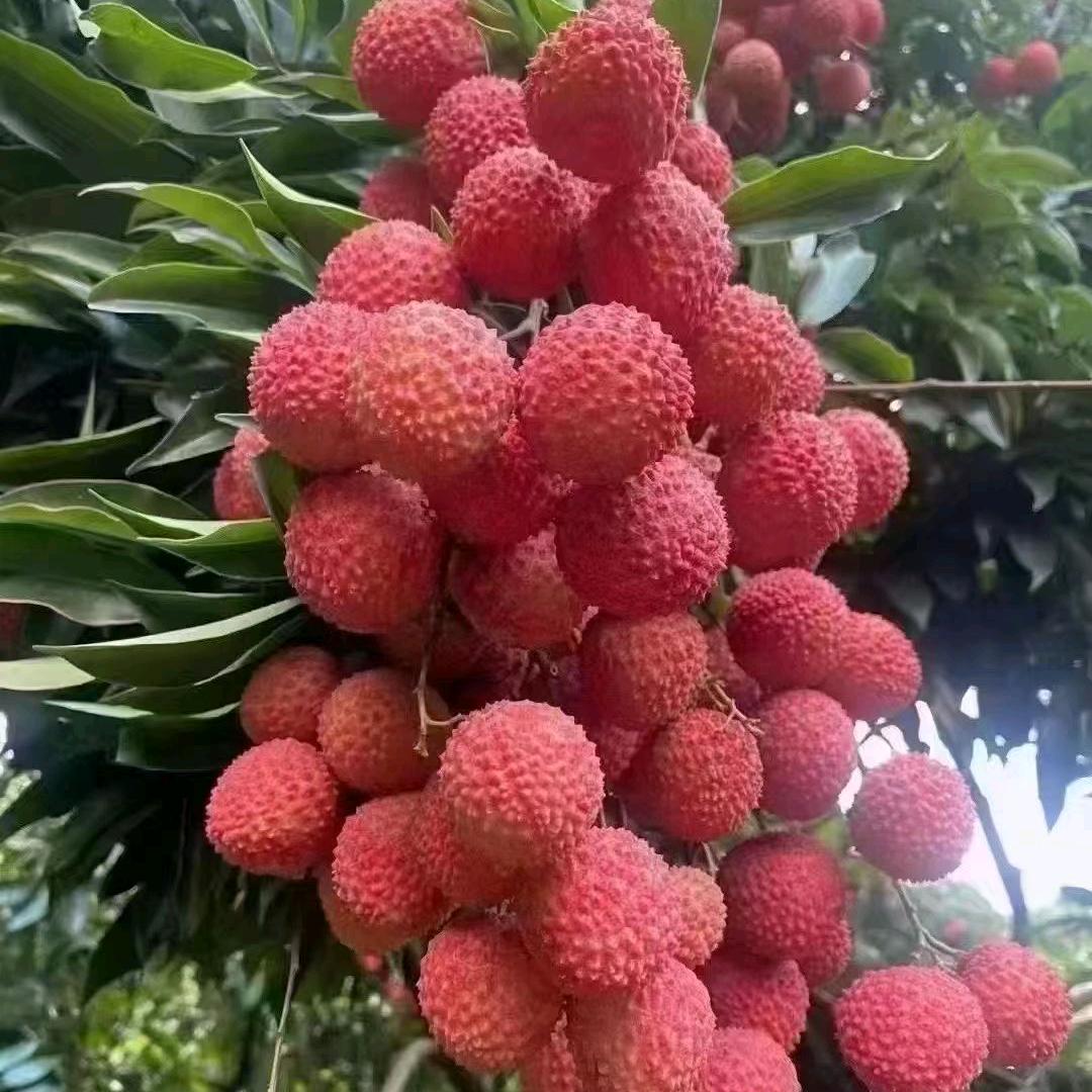 无缘￥的等待