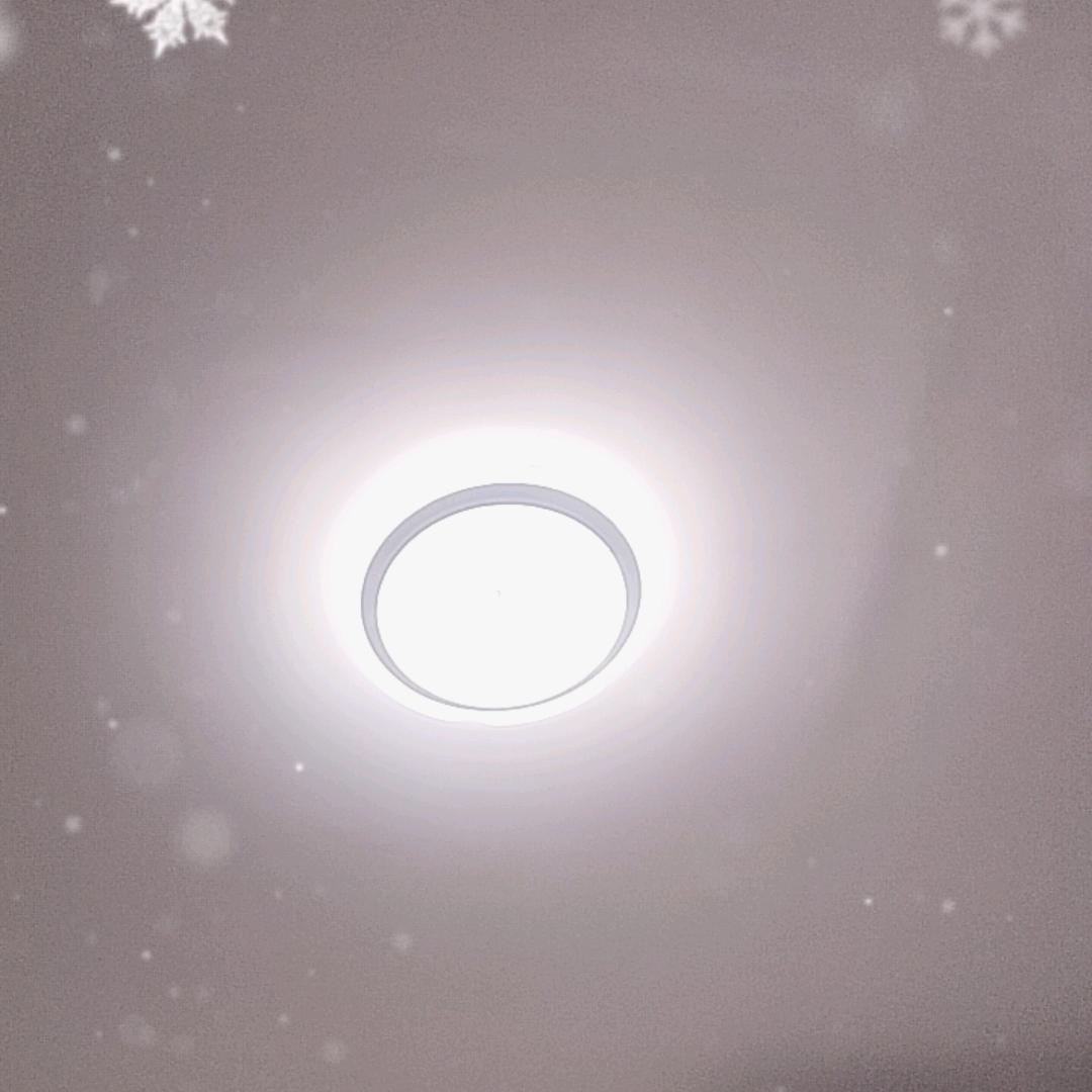 莘莘学子