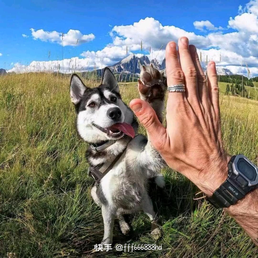 离线的那年冬天