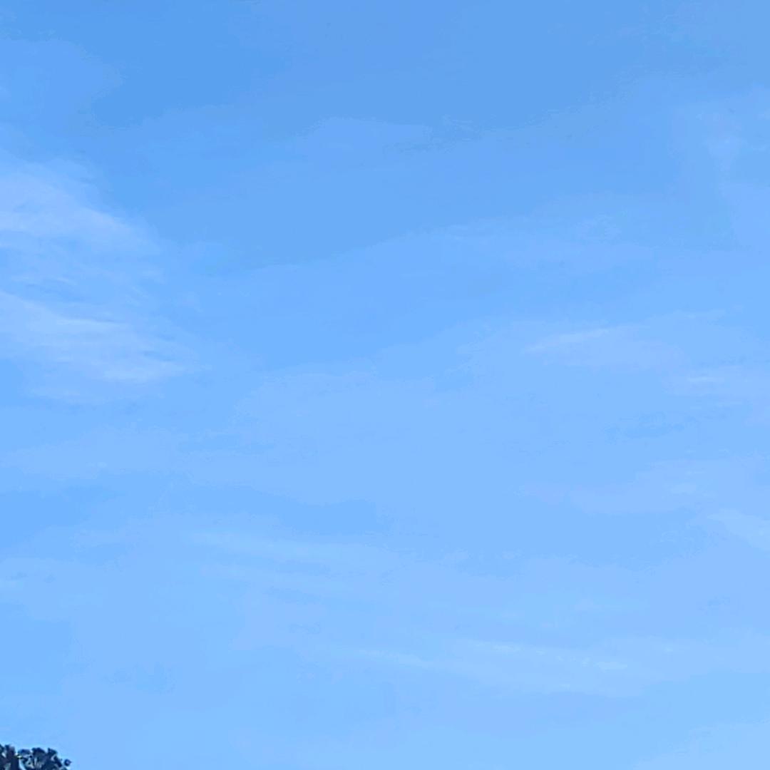 梦如蓝