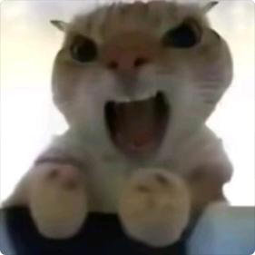 wuwu