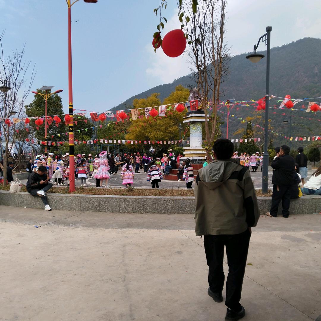 会飞得狼
