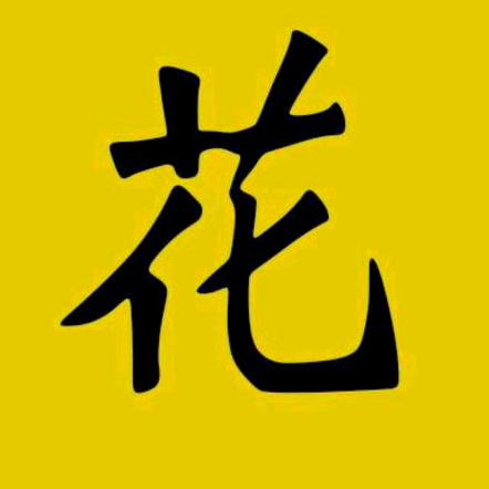 花花纪录片