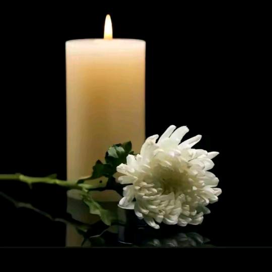 媛姐朝阳发艺()橱窗开通