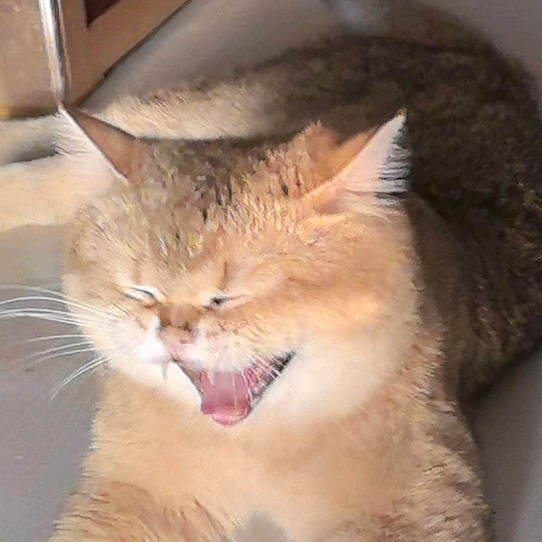 童心