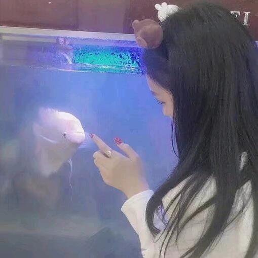 安好🍀