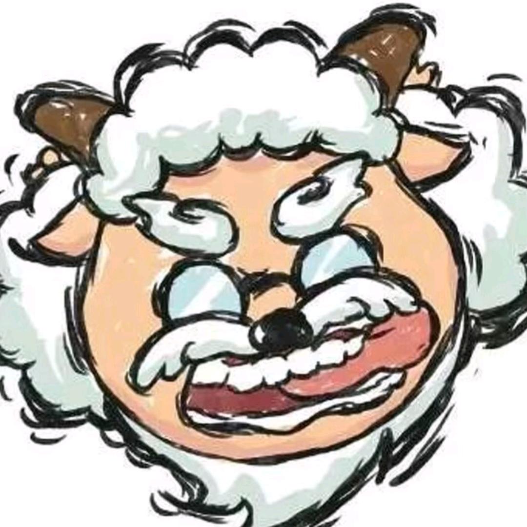 怖违
