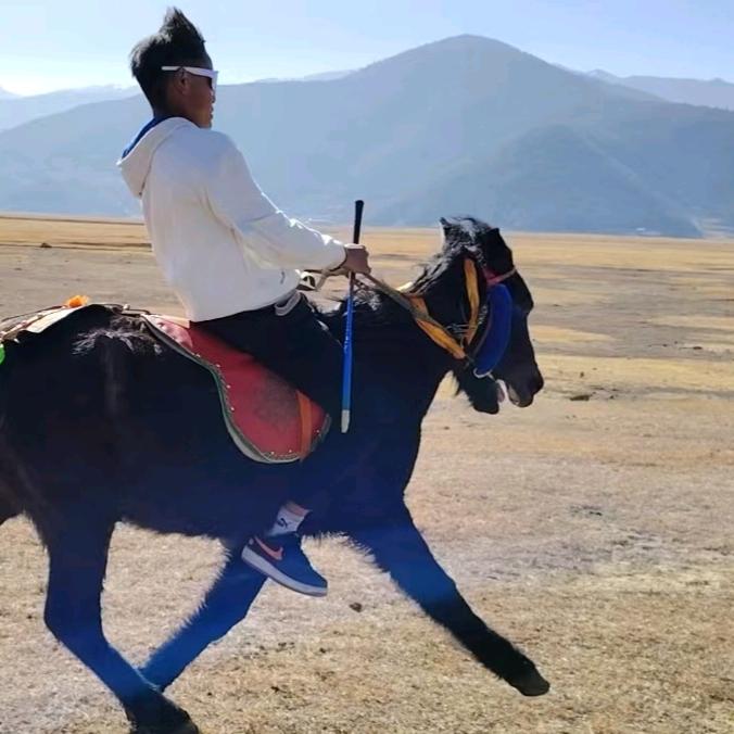 马 背 布 擦 1376 🐎