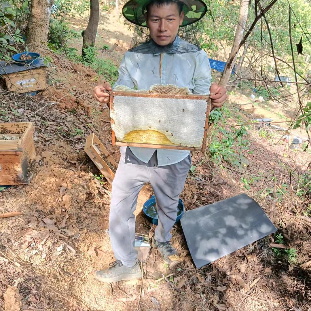 桂平养蜂佬