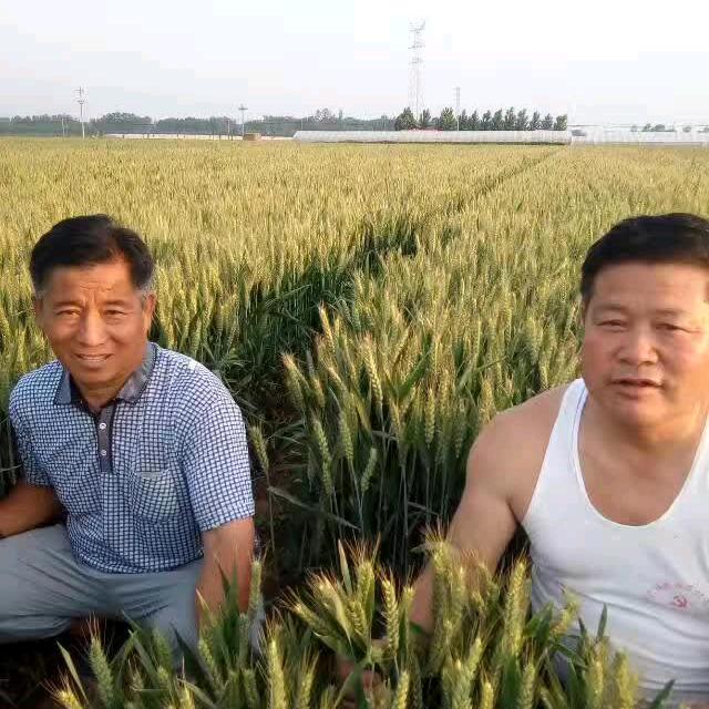 诚信天下
