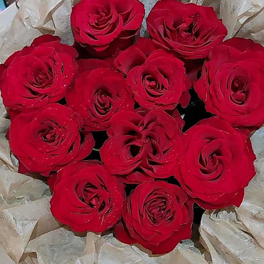 ❤️暖心❤️